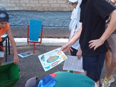 Проводники 