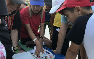 От игры - к выбору профессии