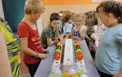 Реализация проекта &laquo;Железнодорожная игротека&raquo; в ДОЛ "Ласточка"