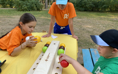 Виват игра! 