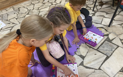 Виват игра! 