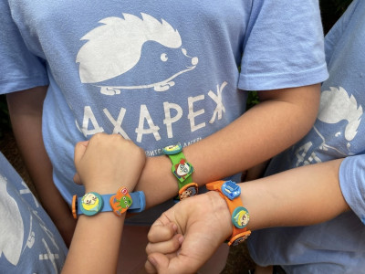 Аллея героев ЖИ и ЖЗ Сахарежа 