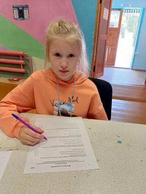 Анкетирование