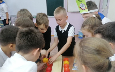 В гостях у мастера Профи