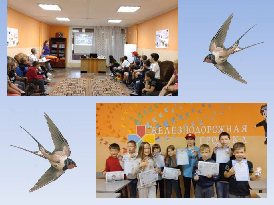 МБУ ОК "Ласточка"р.п.Базарный Карабулак Саратовской области.