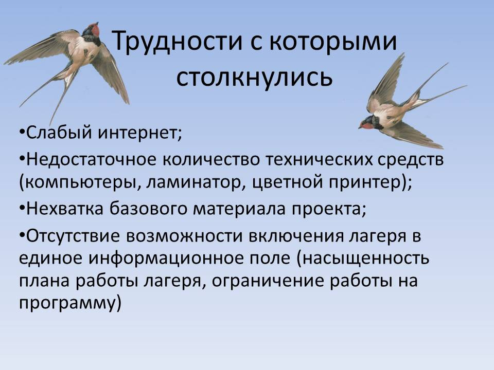 МБУ ОК "Ласточка"р.п.Базарный Карабулак Саратовской области.