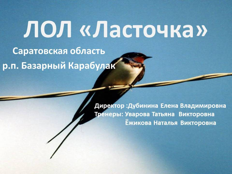 МБУ ОК "Ласточка"р.п.Базарный Карабулак Саратовской области.