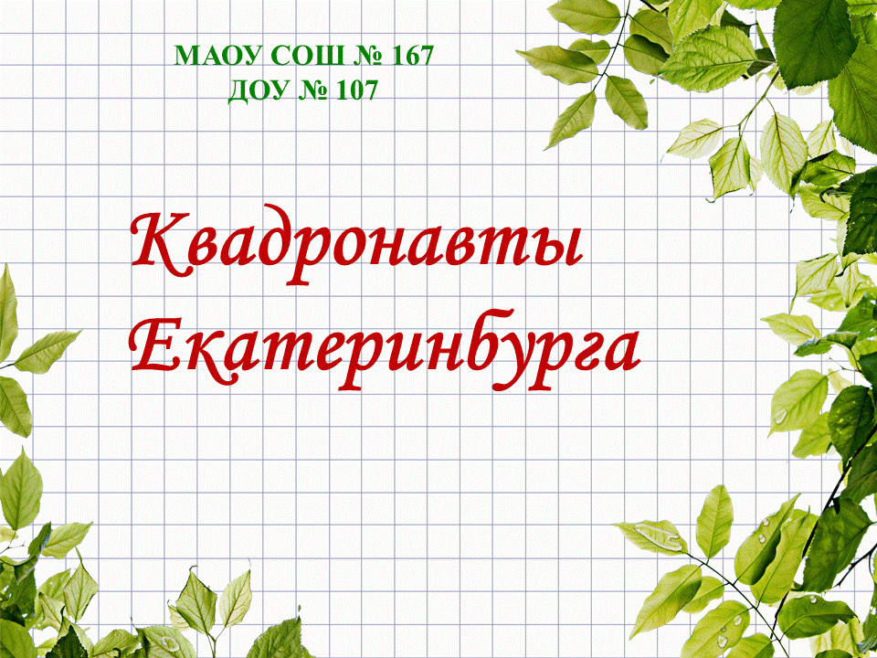 МАДОУ детский сад 107 и МАОУ СОШ 167