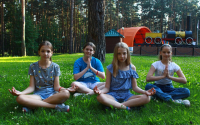 Возвращение ZOZH