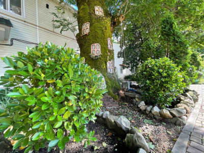 Красота и развлечения по Огоньковски